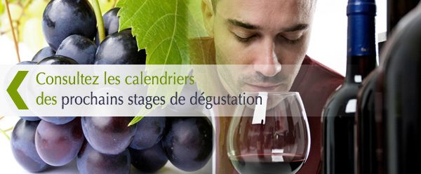 stage-degustation