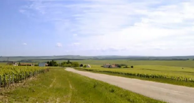 bourgogne-vignoble